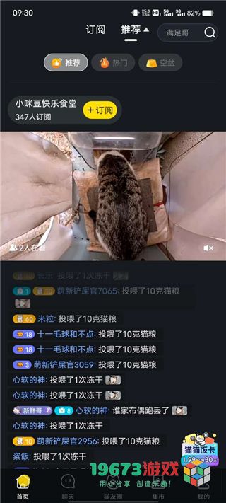 哈啰街猫下载-哈啰街猫手机版下载