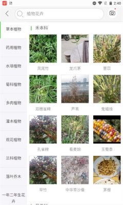 拍照识万物2024最新版下载-拍照识万物正版下载