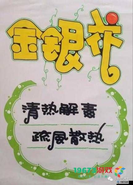 全面拓展金银花产品线：如何实现多样化经营与创新发展？