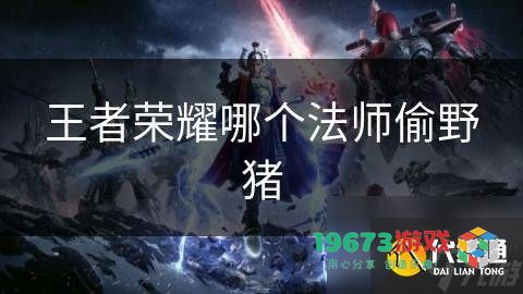 王者荣耀中哪个法师能够有效偷取野猪资源？打野法师的选择与技巧分析